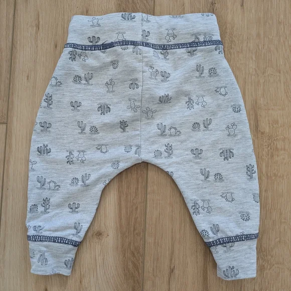 Gray Baby Panda Pants with Cactus Print - Picture 2 of 5